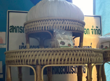 กองประสานงานโครงการพระราชดำริ ลงพื้นที่ ... พารามิเตอร์รูปภาพ 21